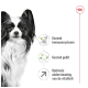 Een zwart-witte Papillon hond met grote oren, naast tekst: 'Gezond immuunsysteem,' 'Gezonde tanden,' 'Optimale vitaliteitssteun.'