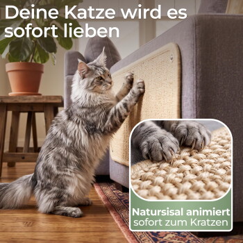 Graue Katze kratzt an einem Sisal-Sofa-Pad; sichtbarer Text: 'Deine Katze wird es sofort lieben; Natursisal animiert sofort zum Kratzen'.