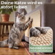 Graue Katze kratzt an einem Sisal-Sofa-Pad; sichtbarer Text: 'Deine Katze wird es sofort lieben; Natursisal animiert sofort zum Kratzen'.