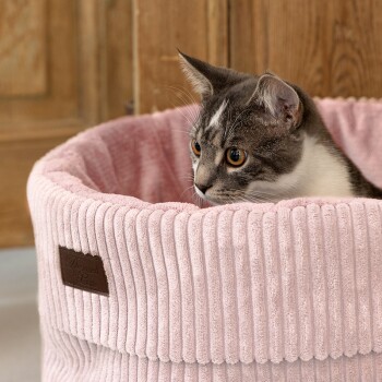 Eine grau-weiße Katze sitzt in einem weichen, rosa Cord-Haustierbett mit einem Lederschild, auf dem steht: "Designed by Lottie."