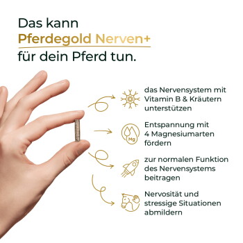 Hand hält ein kleines Pellet neben dem deutschen Text: ‚Das kann Pferdegold Nerven+ für dein Pferd tun‘.