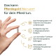 Hand hält ein kleines Pellet neben dem deutschen Text: ‚Das kann Pferdegold Nerven+ für dein Pferd tun‘.
