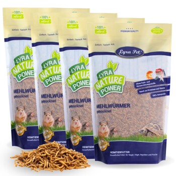 Getrocknete Mehlwürmer in einer "100% natürlichen," "hochwertigen Protein," und "reich an Vitaminen" Lyra Pet Nature Power-Tüte, mit einem kleinen Haufen davor.