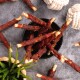 Eine schwarze Schüssel gefüllt mit Hundeleckerlis, die gedrehte Fleischstangen ähneln, umgeben von einer kleinen grünen Pflanze und Seilspielzeugen auf einer grauen Oberfläche.