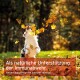 Hund springt durch Laub; Schriftzug: 'Als natürliche Unterstützung der Immunabwehr'.
