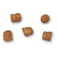 Five pieces of brown pet food kibble scattered on a white background, showcasing a crunchy texture.
