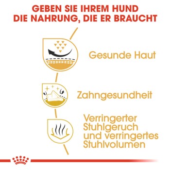 Bild, das die Vorteile von Hundefutter auf Deutsch bewirbt: "Geben Sie Ihrem Hund die Nahrung, die er braucht," mit Symbolen für Gesundheit und Geruch.