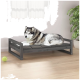 Ein sibirischer Husky liegt bequem auf einem modernen grauen Hundebett in einem hellen Raum mit einem grünen Tennisball in der Nähe und einer Topfpflanze.