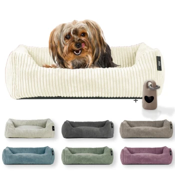 ® Hundebett waschbar für kleine Hunde mit Hundekissen Cord (ca. 55x42 cm) inkl. Gassibeutel Ein cremefarbener, gerippter Hundebett mit einem Herzanhänger, umgeben von sechs bunten Betten in Grau, Teal, Grün, Mauve und Beige.
