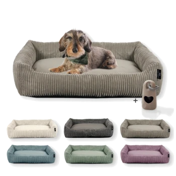 Ein brauner Dackel mit einem grünen Halstuch liegt auf einem gemütlichen Hundebett, umgeben von cremefarbenen, grauen, teal, grünen und lila Optionen, plus einem beigen Herzaccessoire.