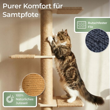 Getigerte Katze auf Sisalpfosten mit Materialeinlagen. Text: 'Purer Komfort für Samtpfote'; 'Rutschfester Filz'; '100% Natürliches Juteseil'