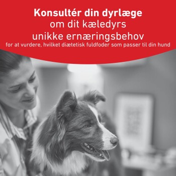 Border Collie mit einer Person; rotes Banner lautet „Konsultér din dyrlæge om dit kæledyrs unikke ernæringsbehov“.