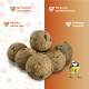 Sechs Meisenknödel mit Körnern und einer Blaumeise; Etiketten: 'Früchte & Insekten', 'Ideal für warme Tage', 'Für Körner-/Weichfresser', 'Weniger Fett'