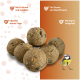 Sechs Meisenknödel mit Körnern und einer Blaumeise; Etiketten: 'Früchte & Insekten', 'Ideal für warme Tage', 'Für Körner-/Weichfresser', 'Weniger Fett'