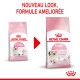 Kitten pour chaton Croquettes Chat 4 kg