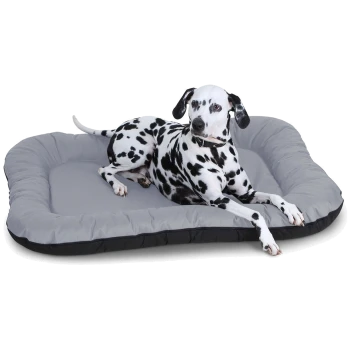 Ein schwarz-weiß gefleckter Dalmatiner, der auf einem grauen Hundebett mit schwarzem Rand entspannt.