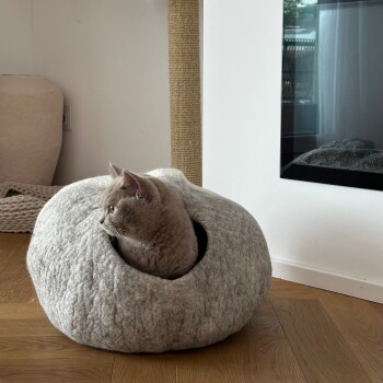 Eine graue Katze schaut aus einem gemütlichen, runden, grauen Filz-Haustierbett, mit einem Kratzbaum und einem modernen Kamin im Hintergrund.