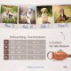 Hundehalsband mit Zugstopp - Harmony Kollektion L