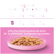 Bild eines rosa Tellers, gefüllt mit Katzenfutter, mit einem Diagramm darüber, das tägliche Fütterungsempfehlungen für Katzen mit 3 kg, 4 kg und 5 kg zeigt.