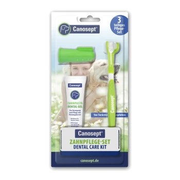 Canosept Hunde-Zahnpflegeset mit grüner Zahnbürste, Fingerbürste und Tube mit der Aufschrift 'ZAHNPASTA DENTAL GEL'; Etikett lautet 'Zahnpflege-Set'.