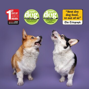 Burns diabetic dog food shop