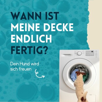 Ein kleiner Hund beobachtet eine Waschmaschine mit Blasen. Text: 'Wann ist meine Decke endlich fertig? Dein Hund wird sich freuen.'