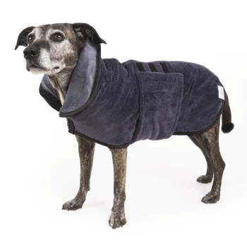 Ein mittelgroßer Hund mit gestromtem Fell trägt einen dunkelgrauen, plüschigen Haustiermantel mit großem Kragen und Klettverschlüssen.