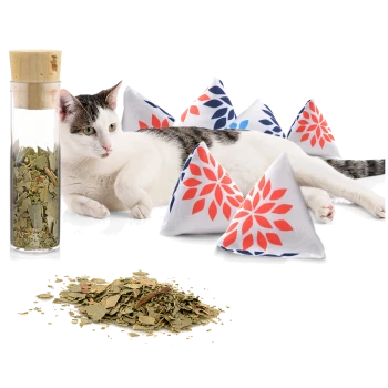 Eine entspannte Katze liegt neben einem Glasbehälter, der mit getrockneten Kräutern gefüllt ist, und mehreren bunten dreieckigen Katzenminzkissen mit Blumenmustern.