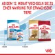 Royal Canin Haustierfutterprodukte für Welpen (2-12 Monate) und Erwachsene (mittelgroße Rassen), mit einem Hinweis zum Wechsel nach 12 Monaten.