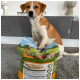 Ein Hund sitzt auf einem Sack mit Premium-Hundefutter, das mit "Hunde-Schmaus" beschriftet ist und Bilder von Zutaten wie Fleisch und Gemüse zeigt.