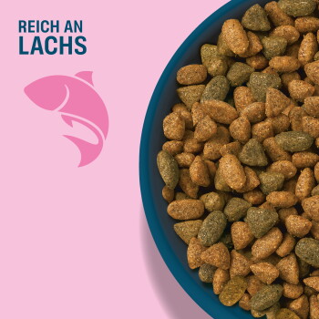 Blaue Schale mit braunen und grünen Kroketten auf rosa Hintergrund mit pinkem Fischsymbol und dem Text 'REICH AN LACHS'.