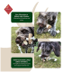 Ein verspielter Hund kaut auf einem Seilspielzeug mit Holzstücken, daneben Text, der die Zahngesundheit und Muskelstärke fördert.