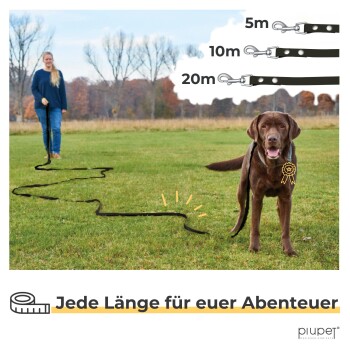Ein brauner Hund steht auf Gras neben einer aufgerollten schwarzen Leine. Text zeigt Leinenlängen: 5m, 10m, 20m. Unten steht "Jede Länge für euer Abenteuer."