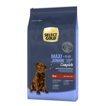 Sac de nourriture pour chien Select Gold Maxi Junior, adapté aux chiens de plus de 25 kg, avec du bœuf comme ingrédient principal, étiqueté "Complet."