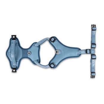 Hellblau verstellbares Hundegeschirr mit schwarzen Schnallen und Metall-D-Ring, auf weißem Hintergrund dargestellt.