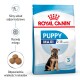Torba karmy dla psów Royal Canin Puppy Maxi dla szczeniąt w wieku 2-15 miesięcy, podkreślająca wsparcie odporności, rozwój mózgu i rozmiar krokietów.