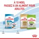 Image de produits alimentaires pour animaux Royal Canin, présentant des formules pour chiots et adultes. Le texte indique : "À 10 MOIS, PASSEZ À UN ALIMENT POUR ADULTES."