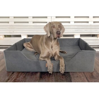 ® COLUMBUS Orthopädisches Hundebett | Reisehundebett | Tragbar Faltbar schwarz/ graphit 80 cm, 25 cm, 60 cm