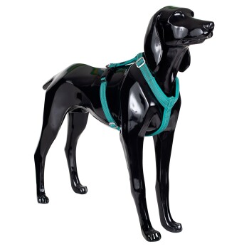 Easy Harness emerald grün/ türkis L