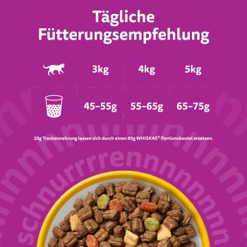 Violettes Bild 'Tägliche Fütterungsempfehlung' zeigt 3 kg/4 kg/5 kg mit 45–55 g, 55–65 g, 65–75 g und eine Schüssel Trockenfutter.
