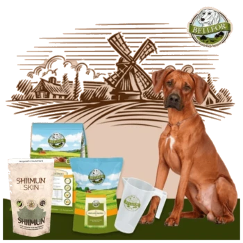 Ein brauner Hund sitzt neben verschiedenen Haustierfutterprodukten, einschließlich "Shiimun Skin" und "BELLFOR"-Markenartikeln, mit einer Windmühlenillustration im Hintergrund.