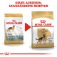 Zwei Royal Canin Hundefutterbeutel für Deutsche Schäferhunde mit neuem Design und aktualisierter Rezeptur. Text: "NEUES AUSSEHEN, UNVERÄNDERTE REZEPTUR."