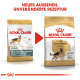 Zwei Royal Canin Hundefutterbeutel für Deutsche Schäferhunde mit neuem Design und aktualisierter Rezeptur. Text: "NEUES AUSSEHEN, UNVERÄNDERTE REZEPTUR."