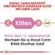 Royal Canin-Leitfaden für Britisch Kurzhaar Katzen, mit "Kätzchen" für 2 Monate und "Erwachsen" für 12 Monate, mit einem Überghinweis.