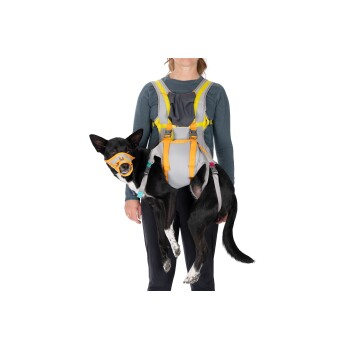 BackTrak™ Evakuierungsset für Hunde S