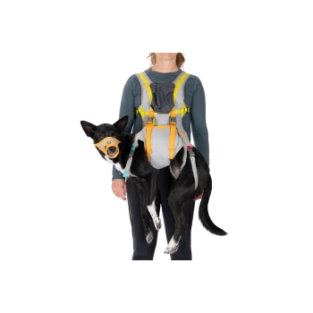Eine Frau in einem grauen Langarmshirt hält einen schwarzen Hund in einem bunten Geschirr, das ein Design für eine Haustiertrage zeigt.