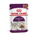 Royal Canin Sensory Feel Katzenfutterbeutel, 85g, mit einem Bild einer glücklichen Katze und Stückchen in Soße, das die Gesundheit und Ernährung von Katzen betont.