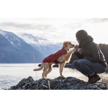 Ein Golden Retriever in einem roten Mantel interagiert verspielt mit einer Person an einem felsigen Ufer, mit Bergen und Wasser im Hintergrund.