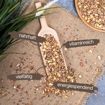 Eine Holzschaufel gefüllt mit bunten Samen und Nüssen auf Jute, mit Etiketten: 'nahrhaft', 'vitaminreich', 'vielfältig', 'energiespendend'.