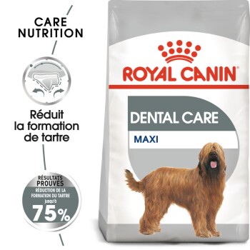Dental Care Maxi Croquettes Chien 9 kg